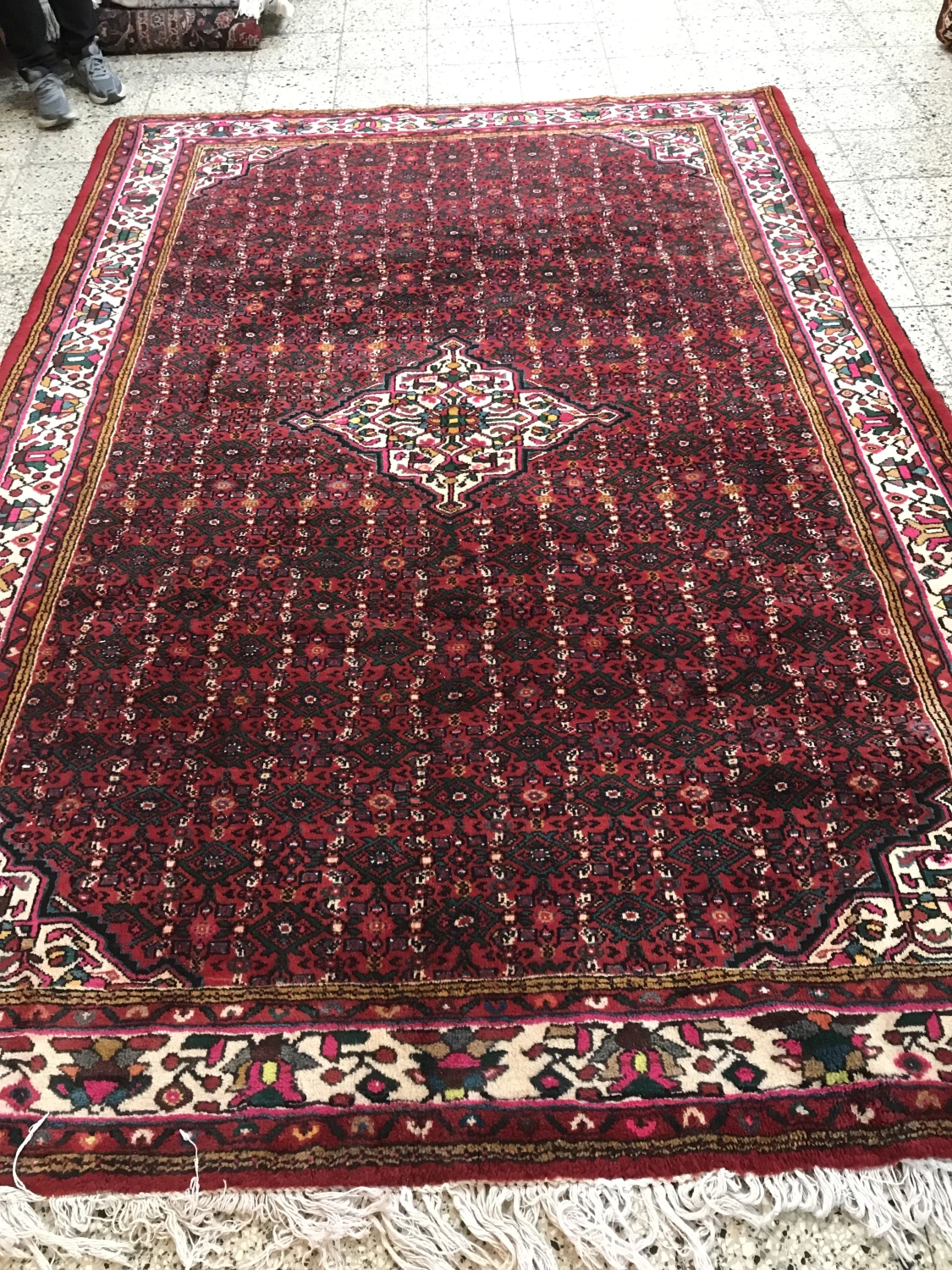 carpet-farshboom-8131958566