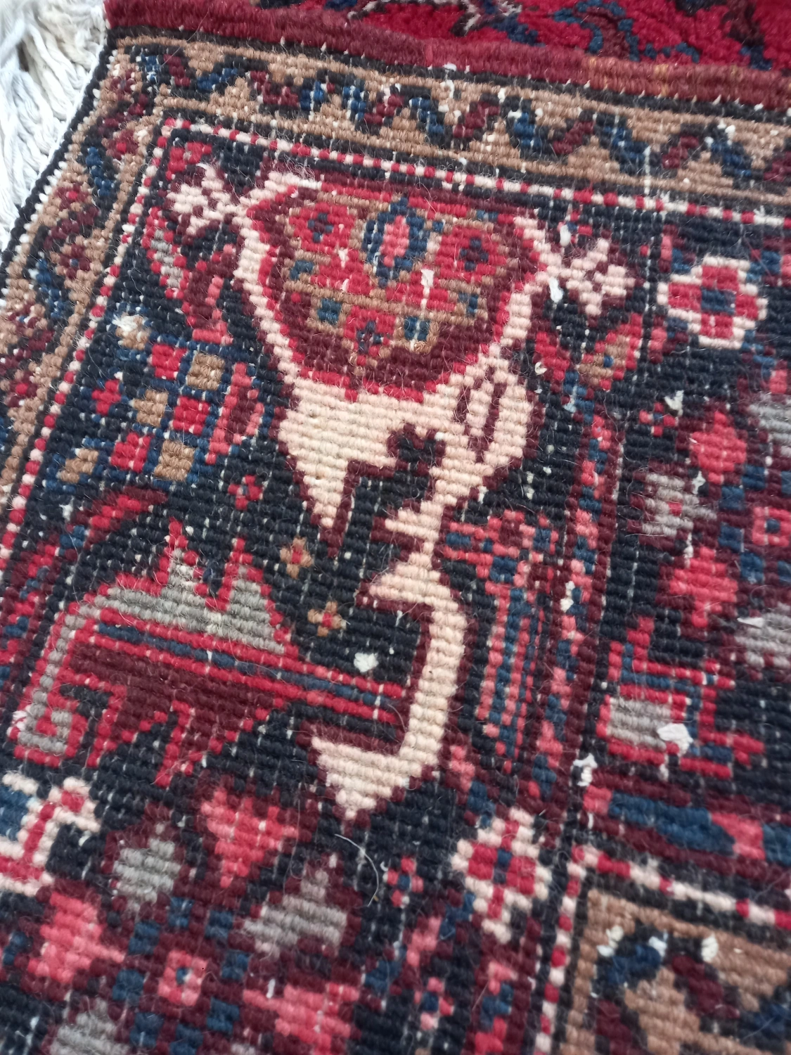 carpet-farshboom-8999229672