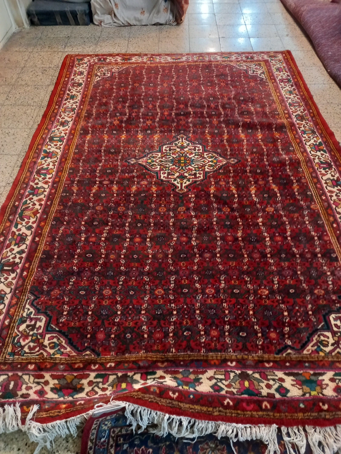carpet-farshboom-9556639382
