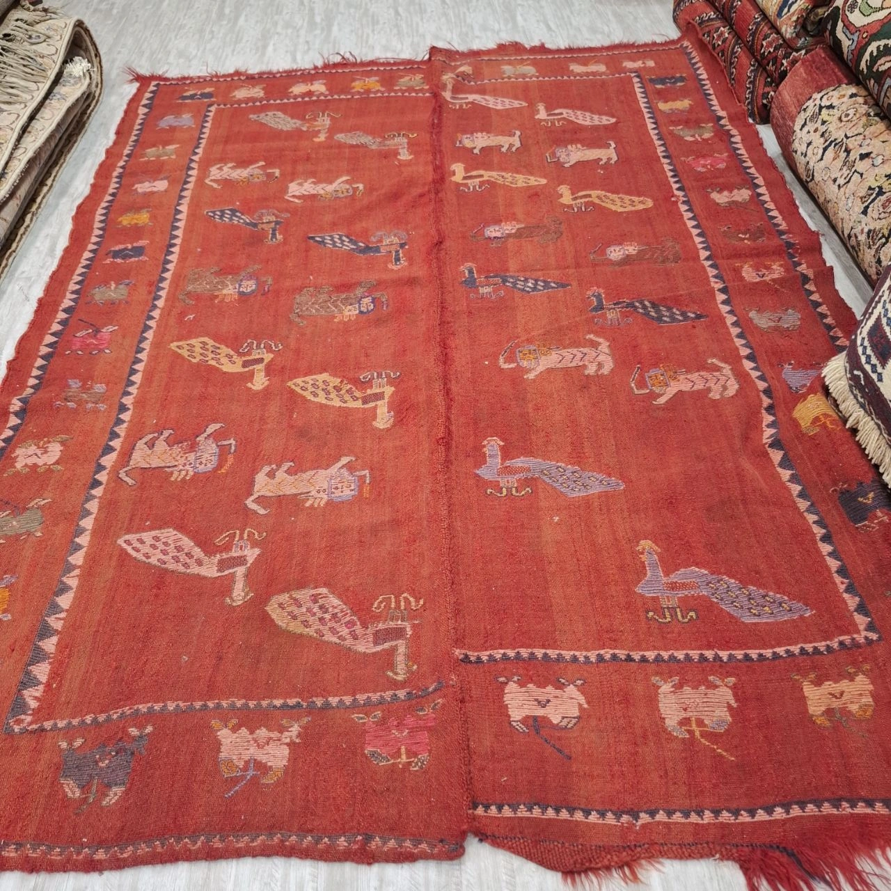 carpet-farshboom-1440924337