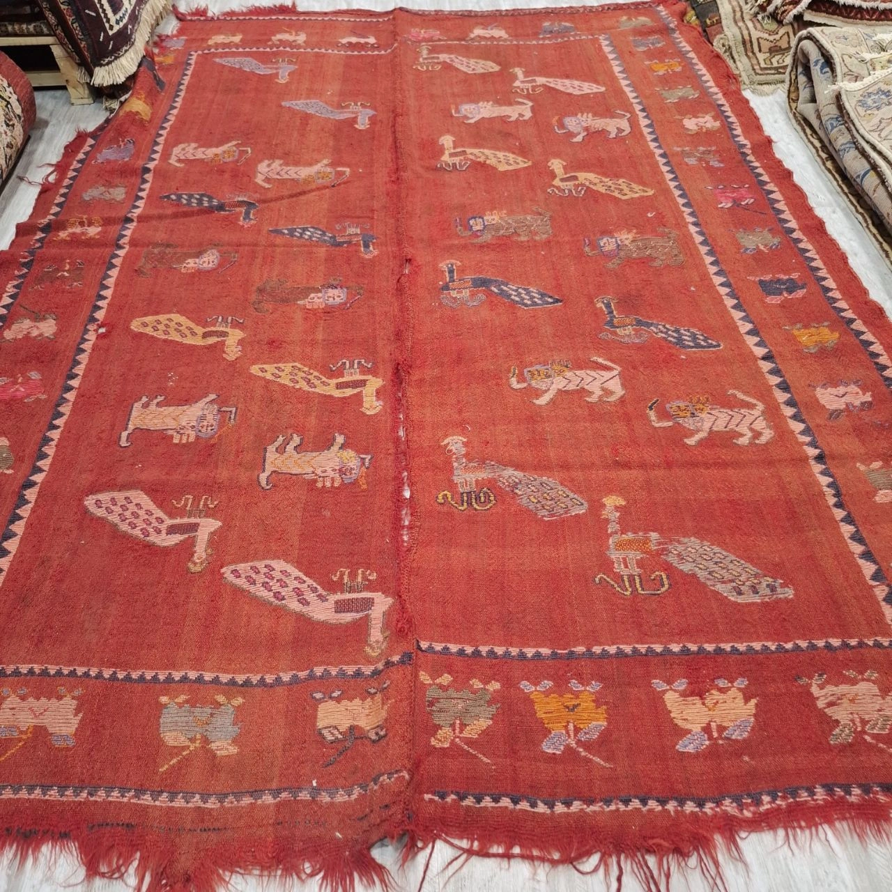 carpet-farshboom-4044817171