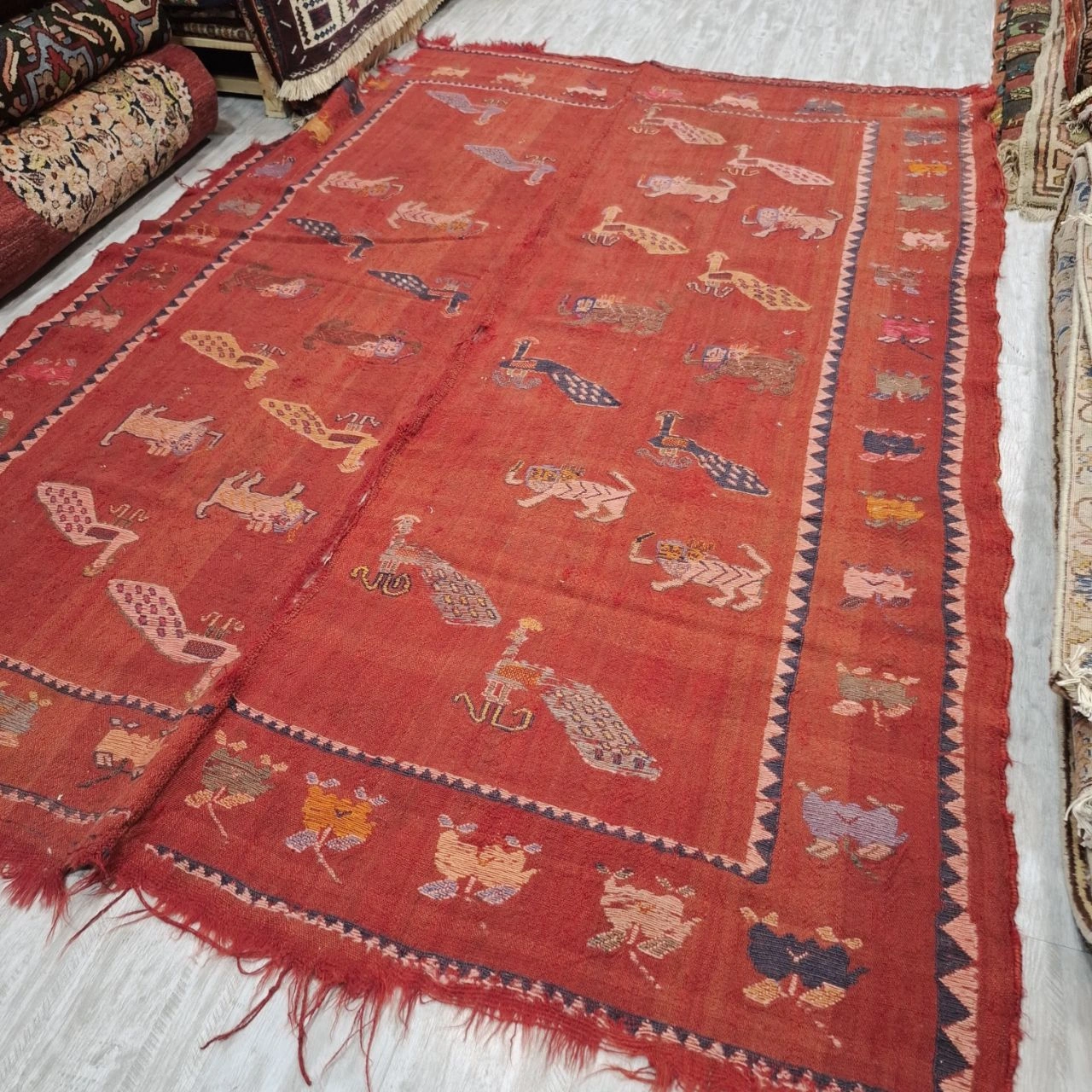 carpet-farshboom-4923158243