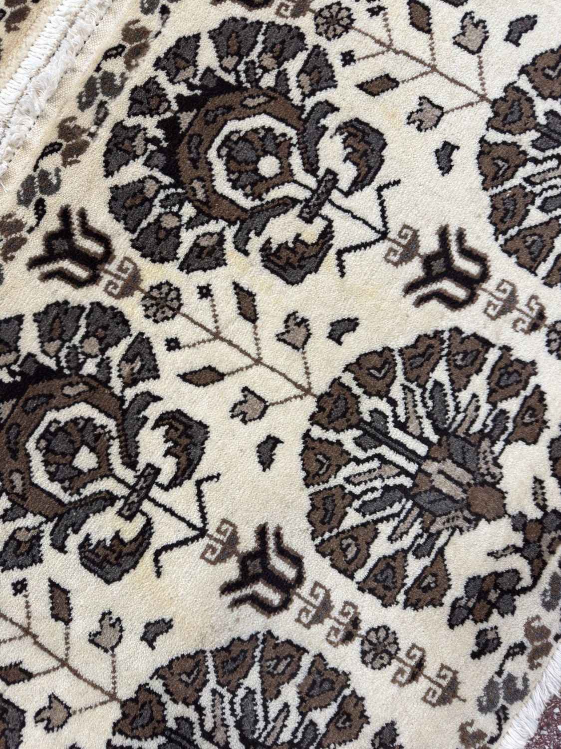 carpet-farshboom-5129590448