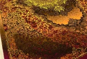 carpet-farshboom-7388407799