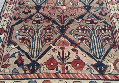 carpet-farshboom-0504260109