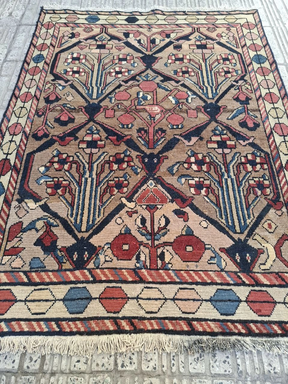 carpet-farshboom-0504260109