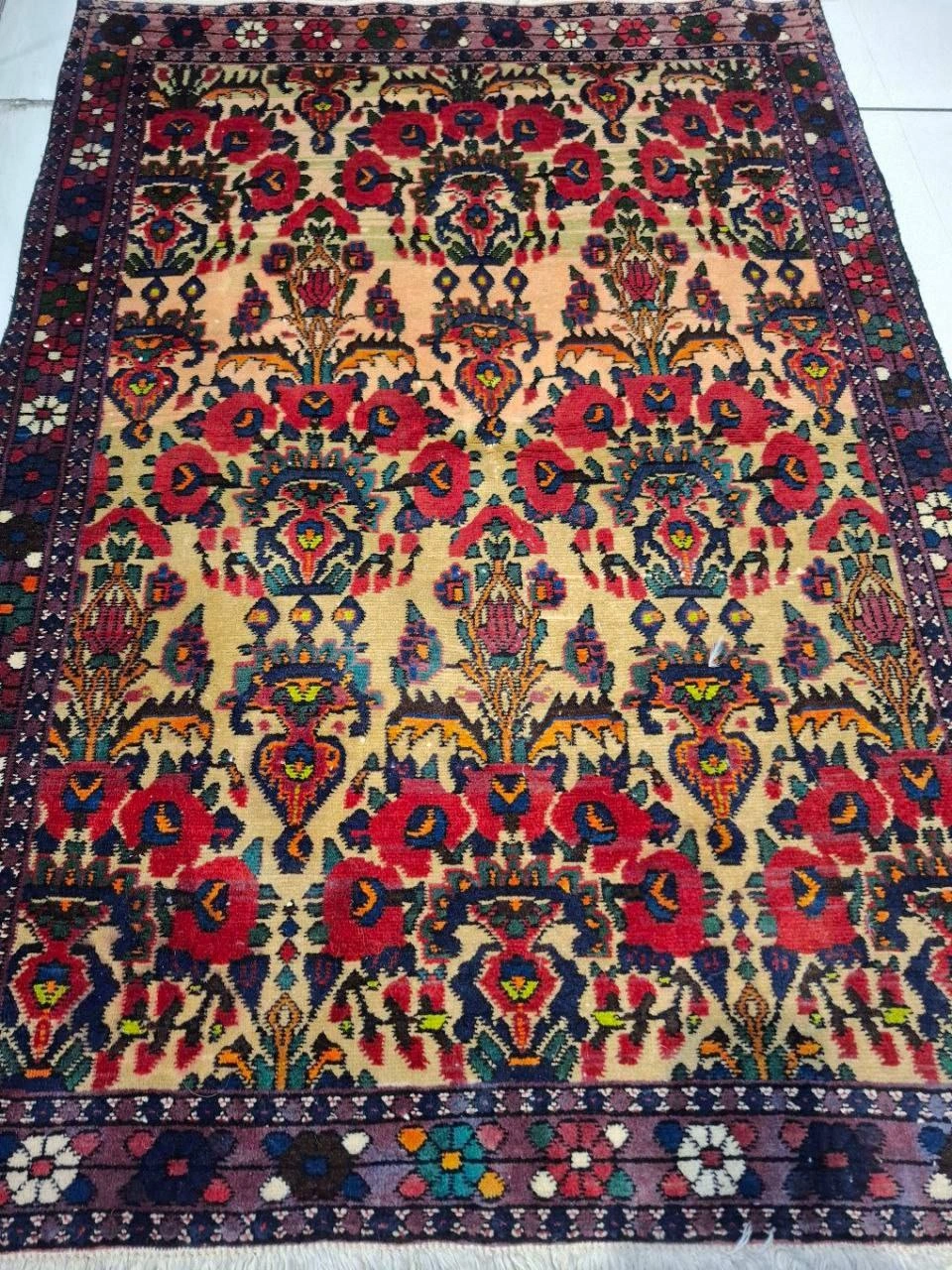 carpet-farshboom-0705084842