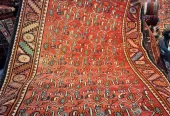 carpet-farshboom-2523504534