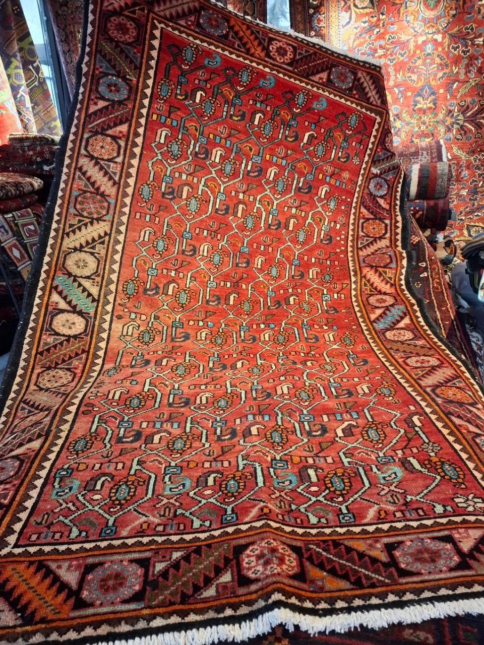 carpet-farshboom-2523504534