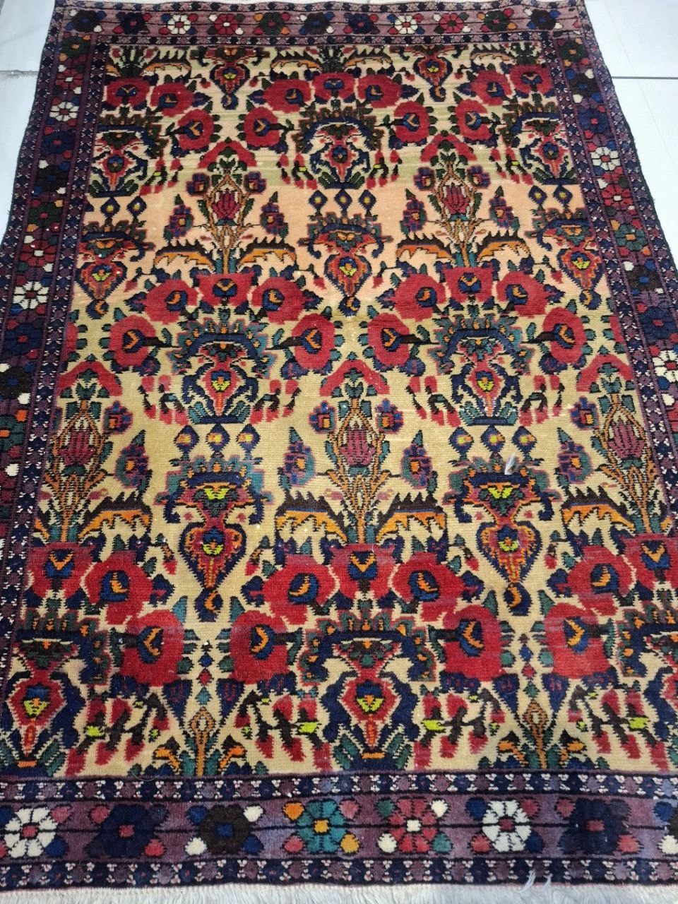 carpet-farshboom-3434990453