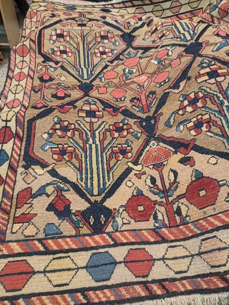 carpet-farshboom-3805143505