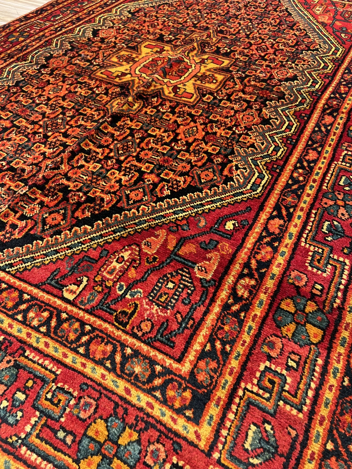 carpet-farshboom-4925595880