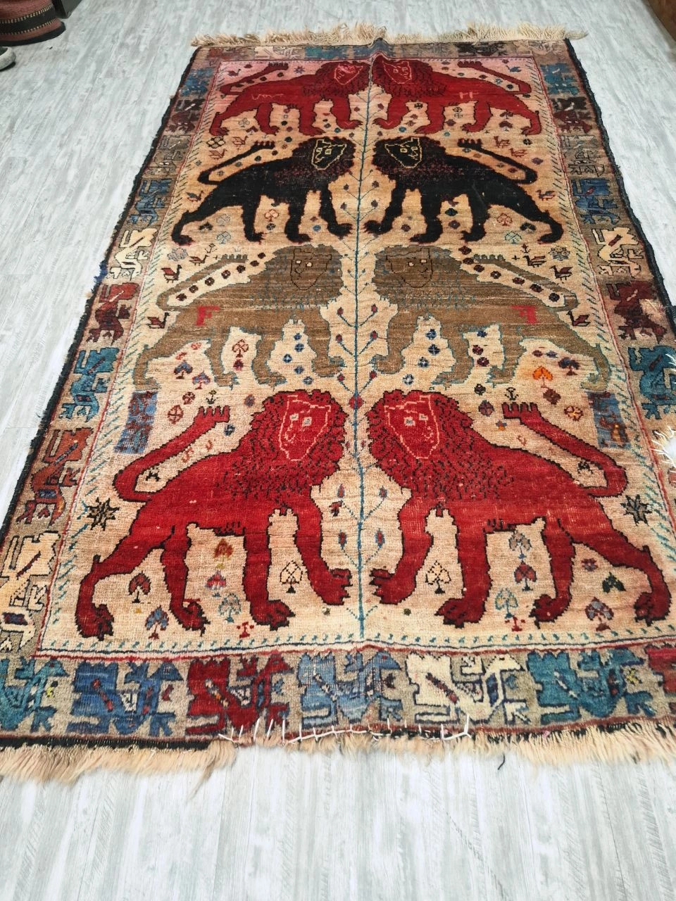 carpet-farshboom-4965030326