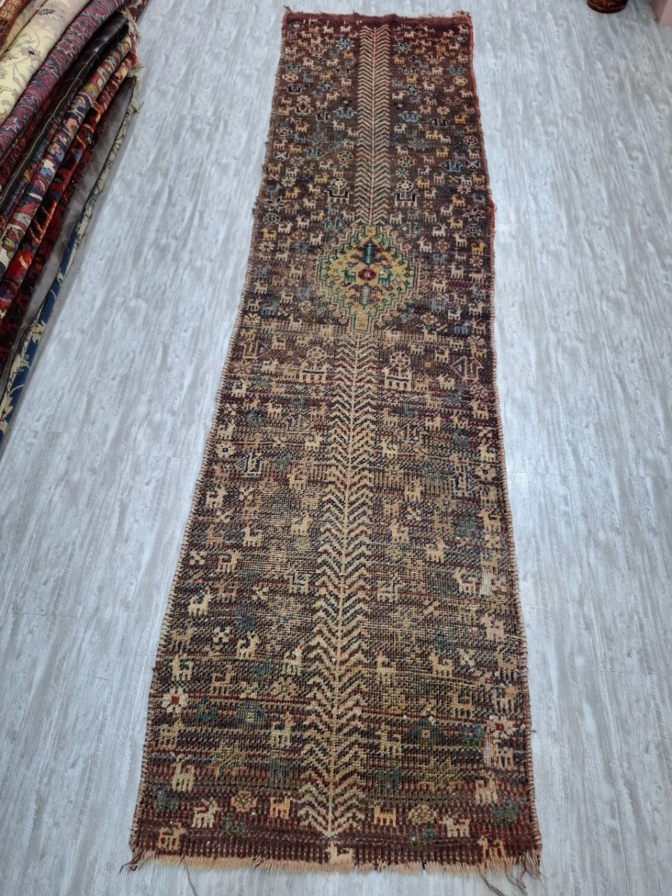 carpet-farshboom-5155693051