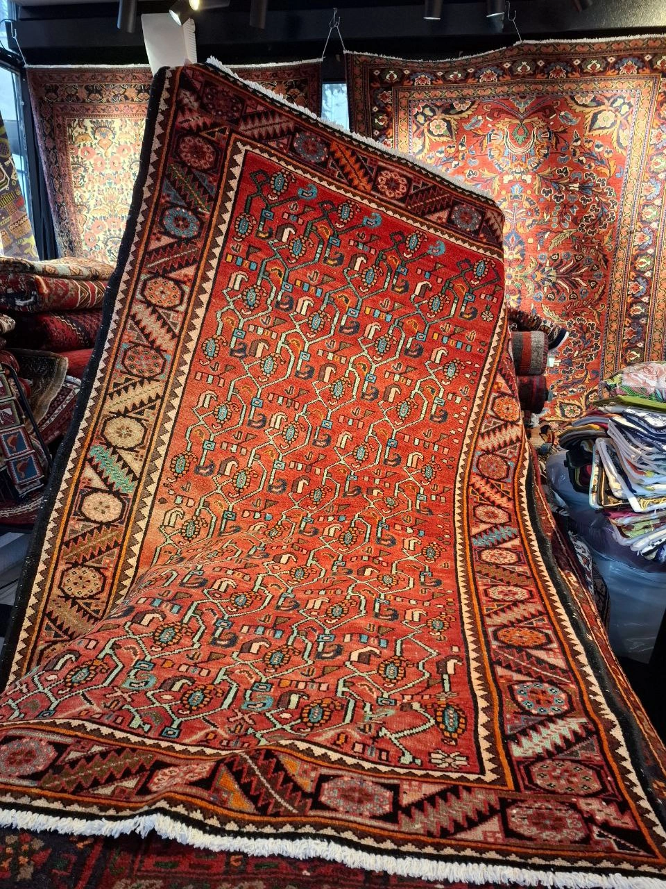 carpet-farshboom-5496729323
