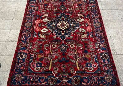 carpet-farshboom-6955013000