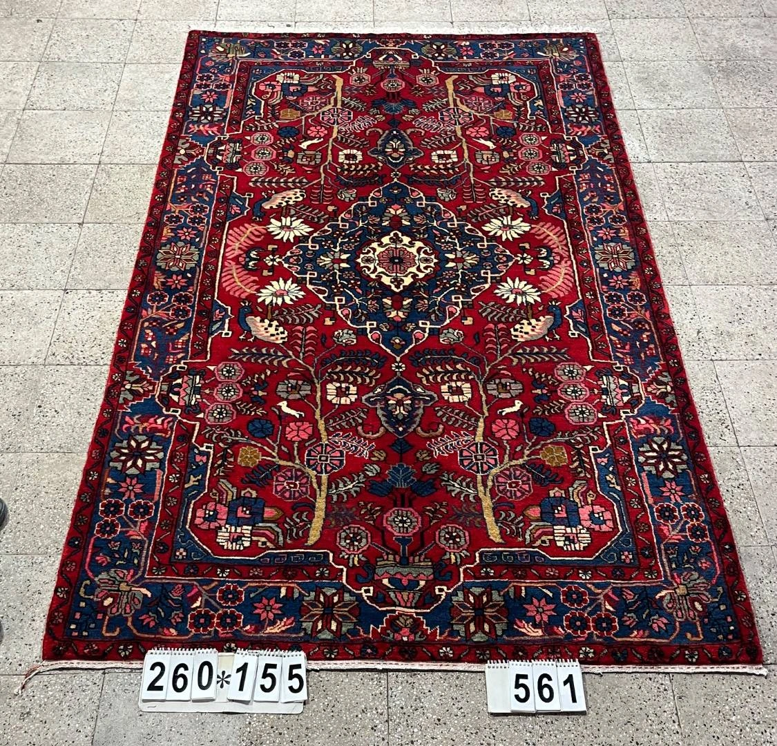 carpet-farshboom-6955013000
