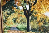 carpet-farshboom-7056720017