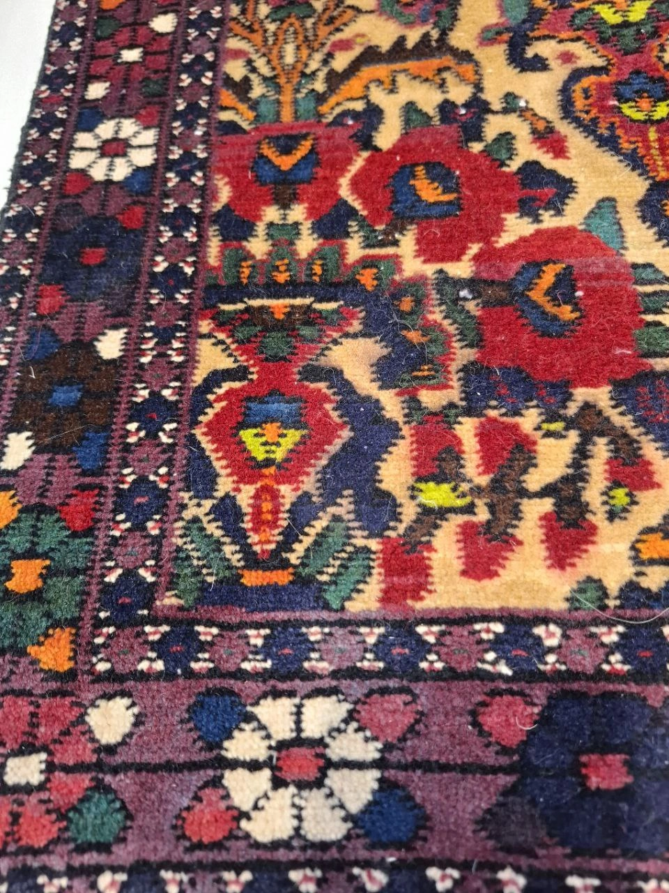carpet-farshboom-7489187927