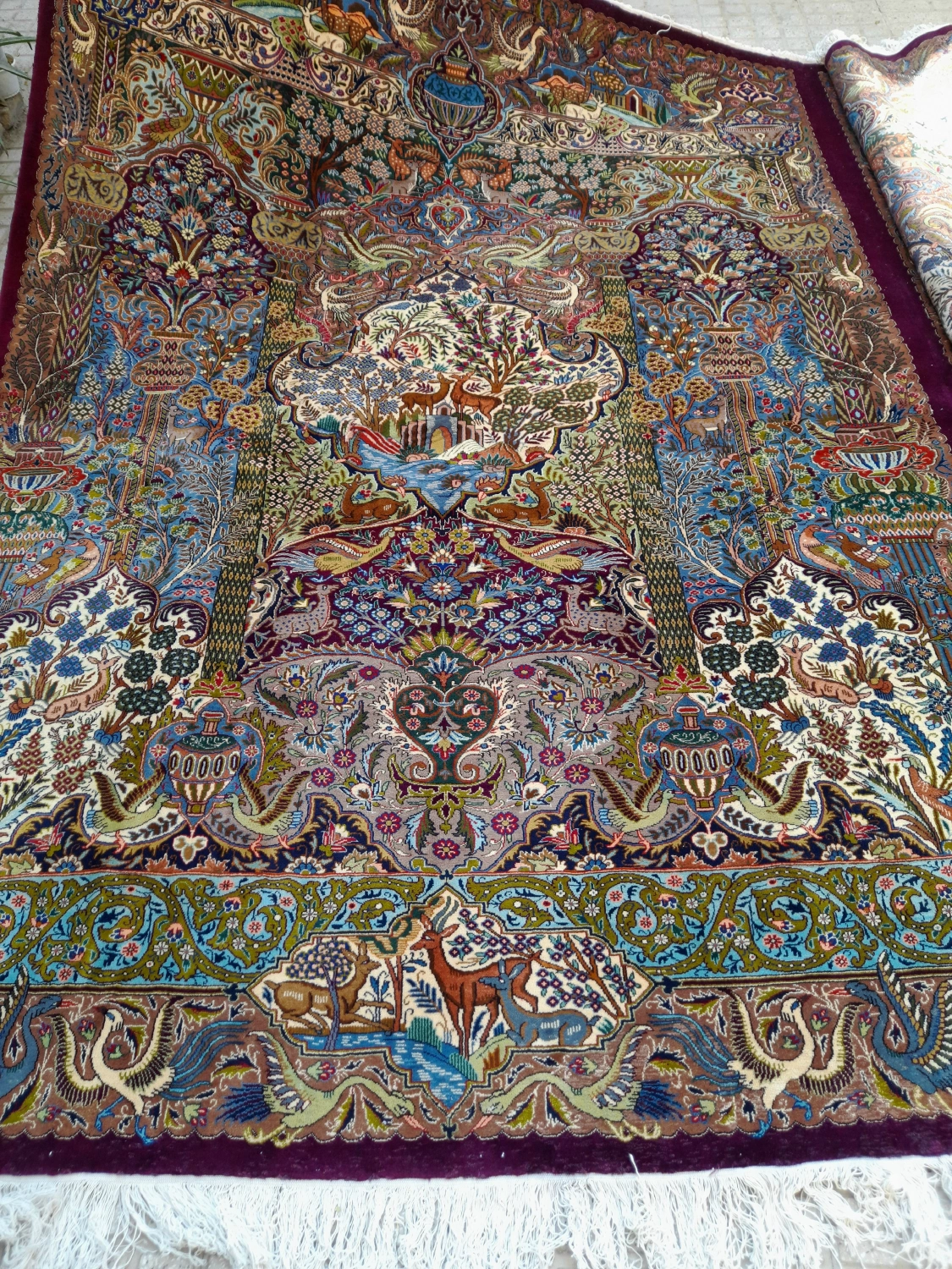 carpet-farshboom-8028287702