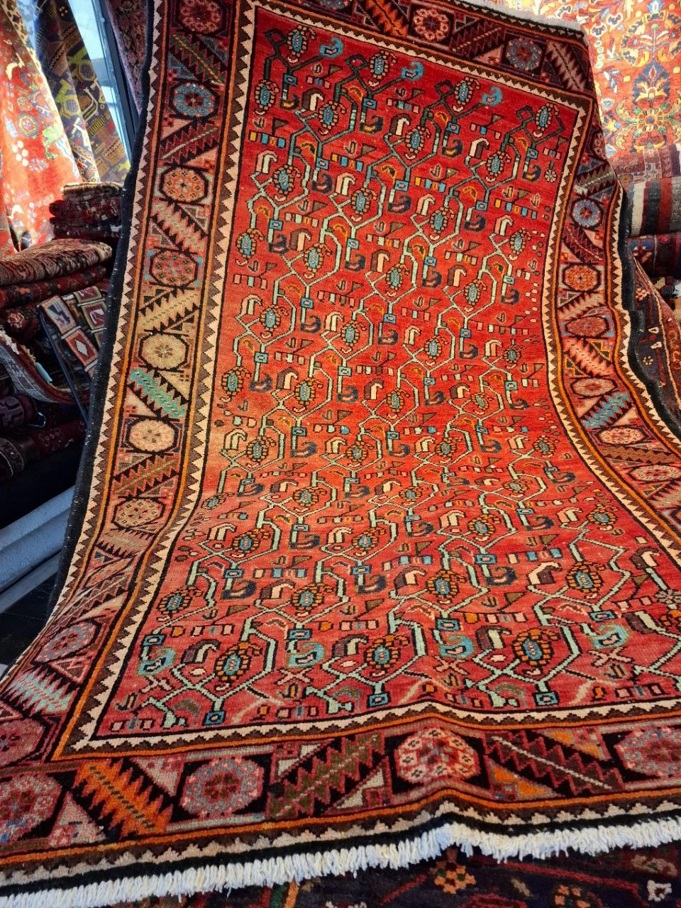 carpet-farshboom-8715634380