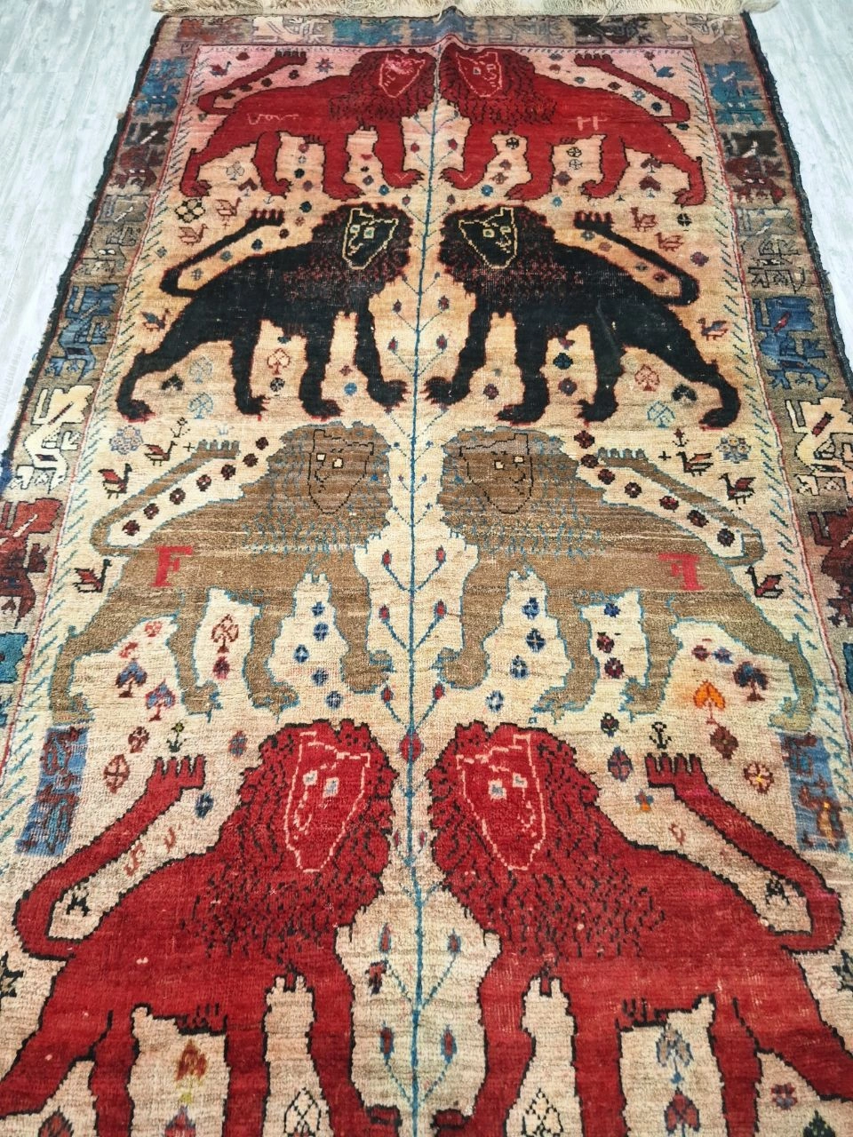 carpet-farshboom-8846530981