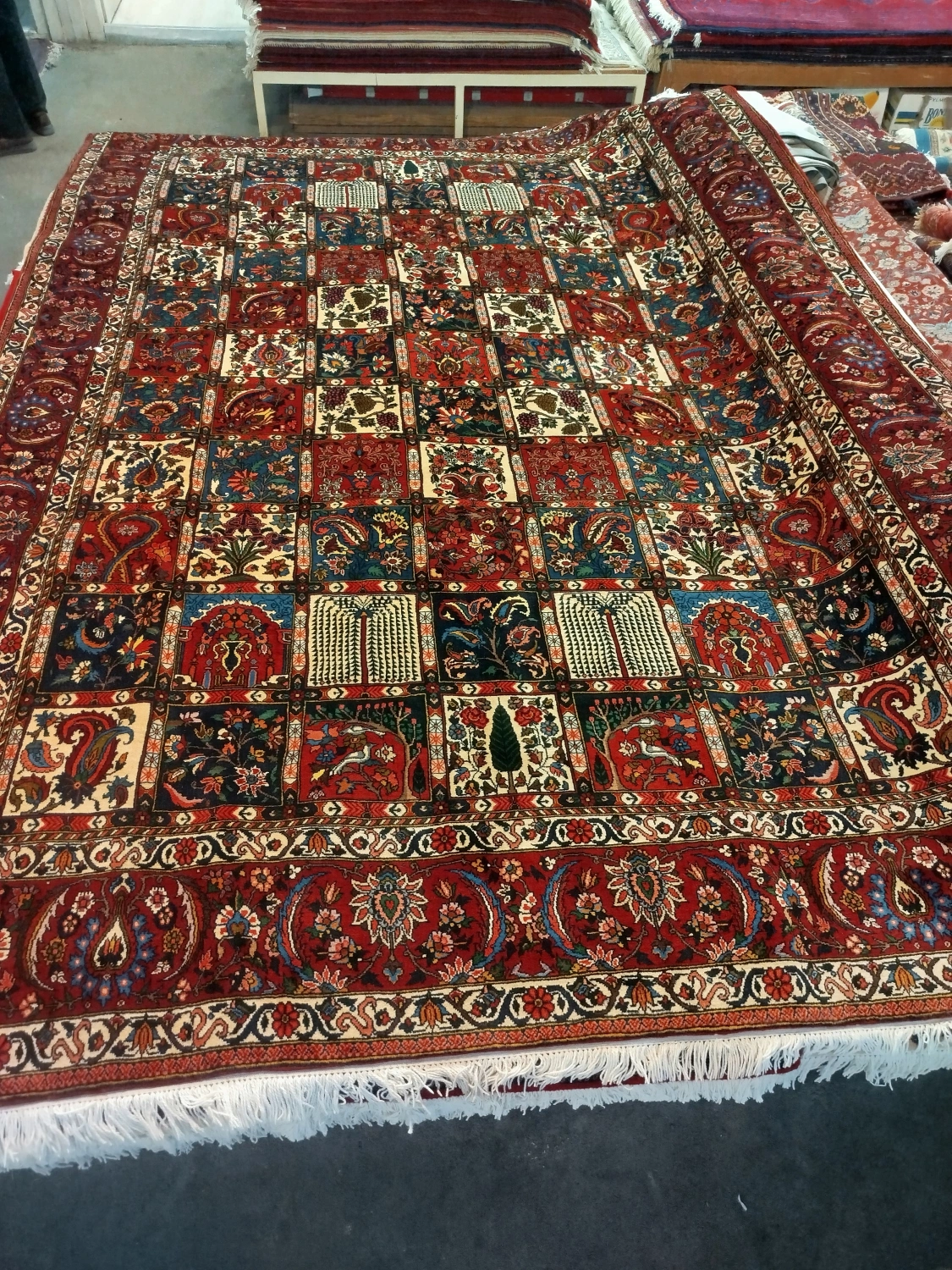 carpet-farshboom-0013537388