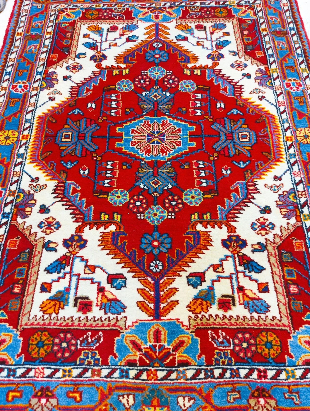 carpet-farshboom-1650527064