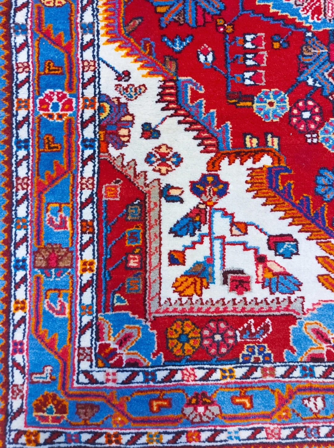 carpet-farshboom-1680217266