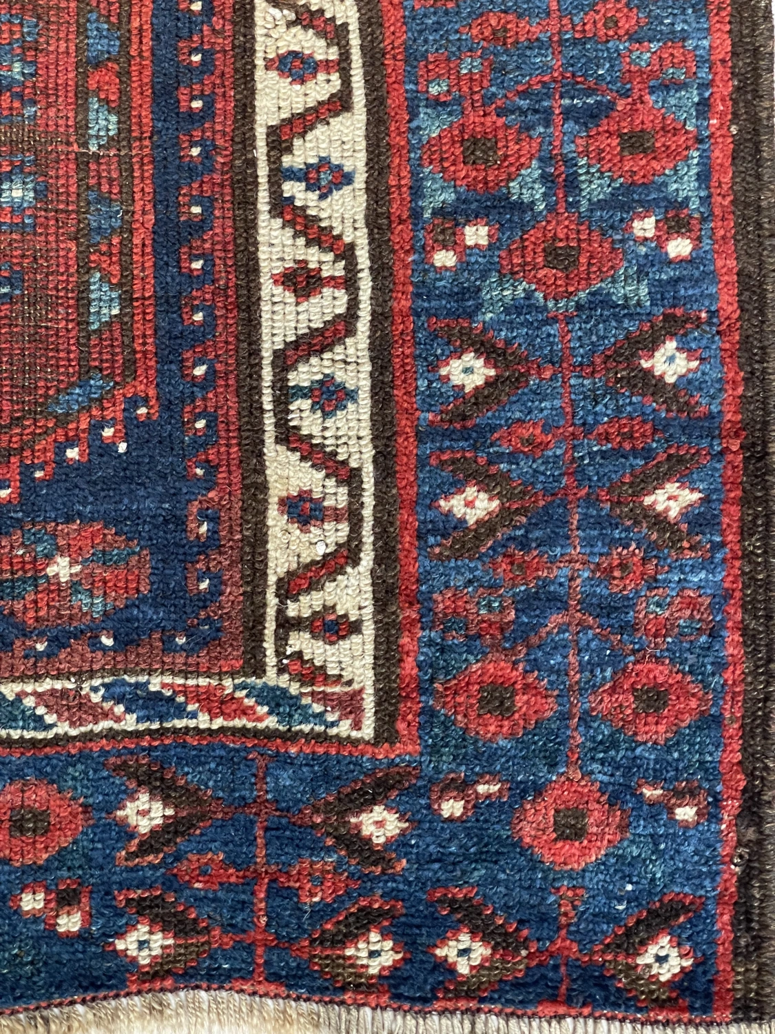 carpet-farshboom-1737146324
