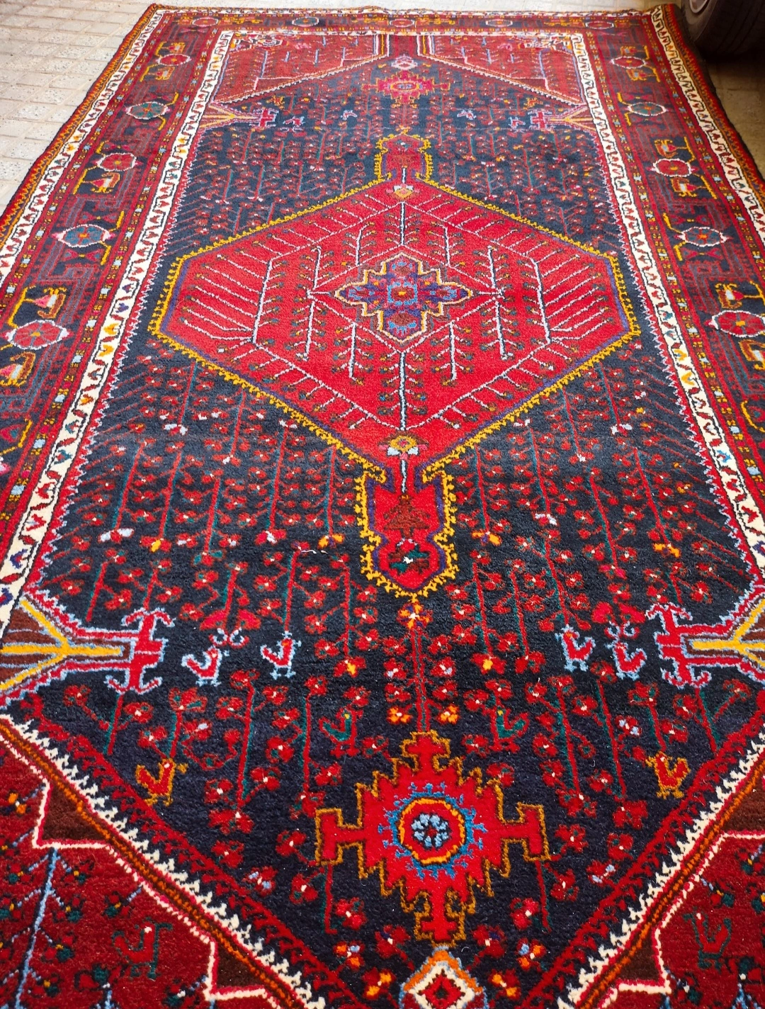carpet-farshboom-1842461259