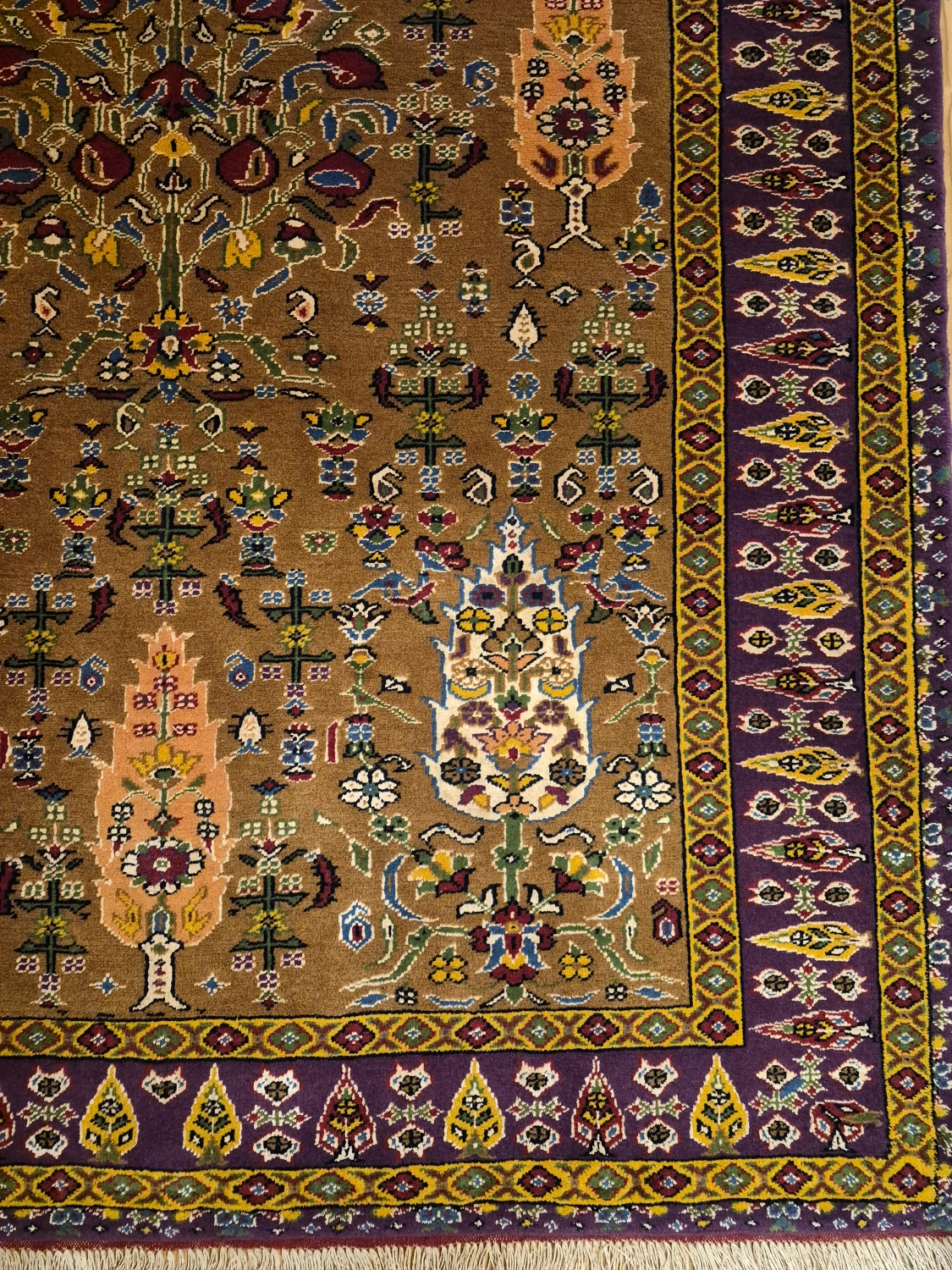 carpet-farshboom-2017868534