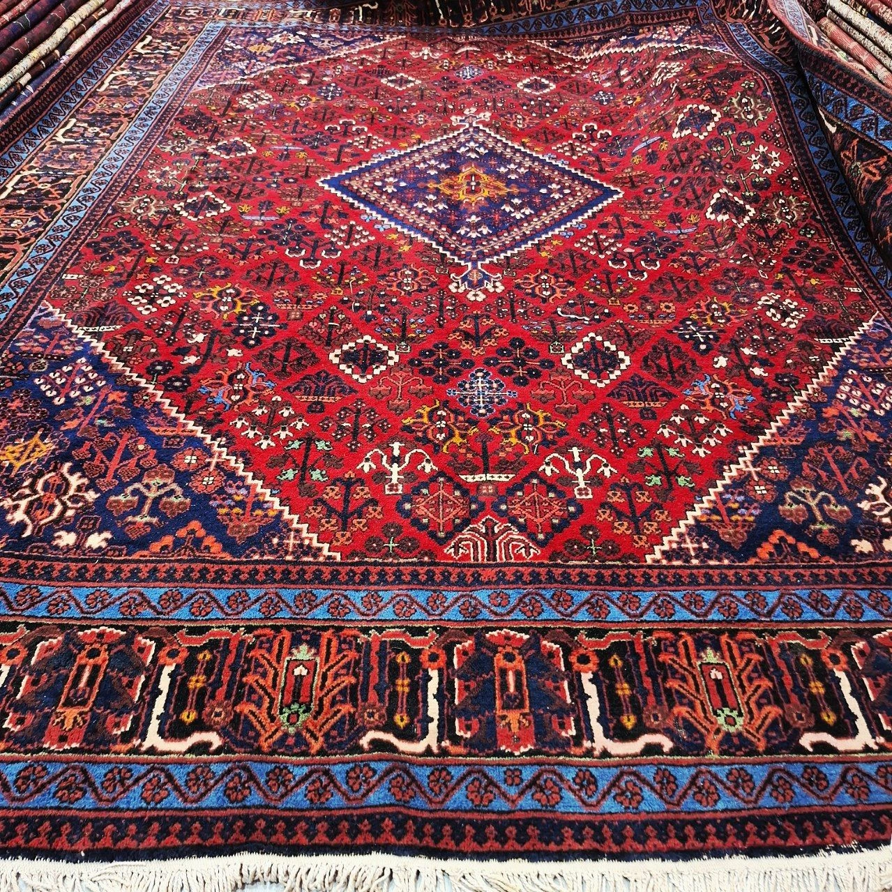 carpet-farshboom-2021002668