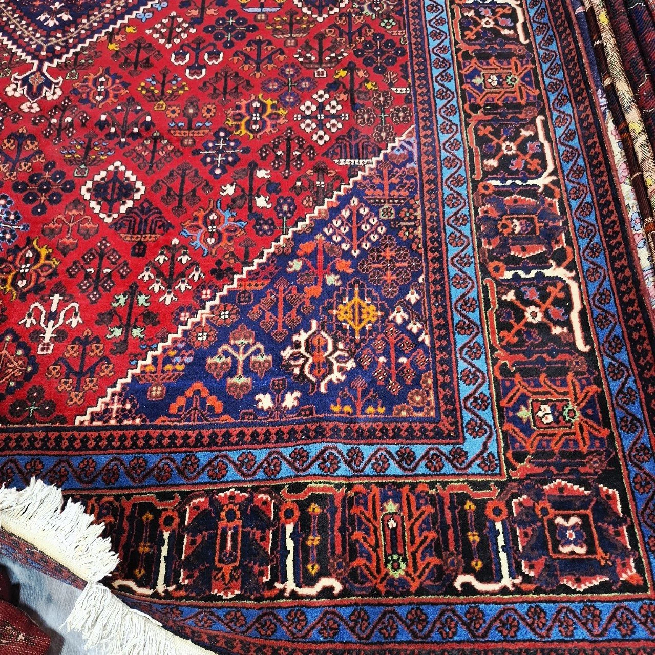carpet-farshboom-2462749996