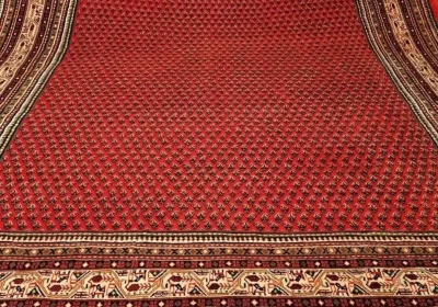 carpet-farshboom-3032765043