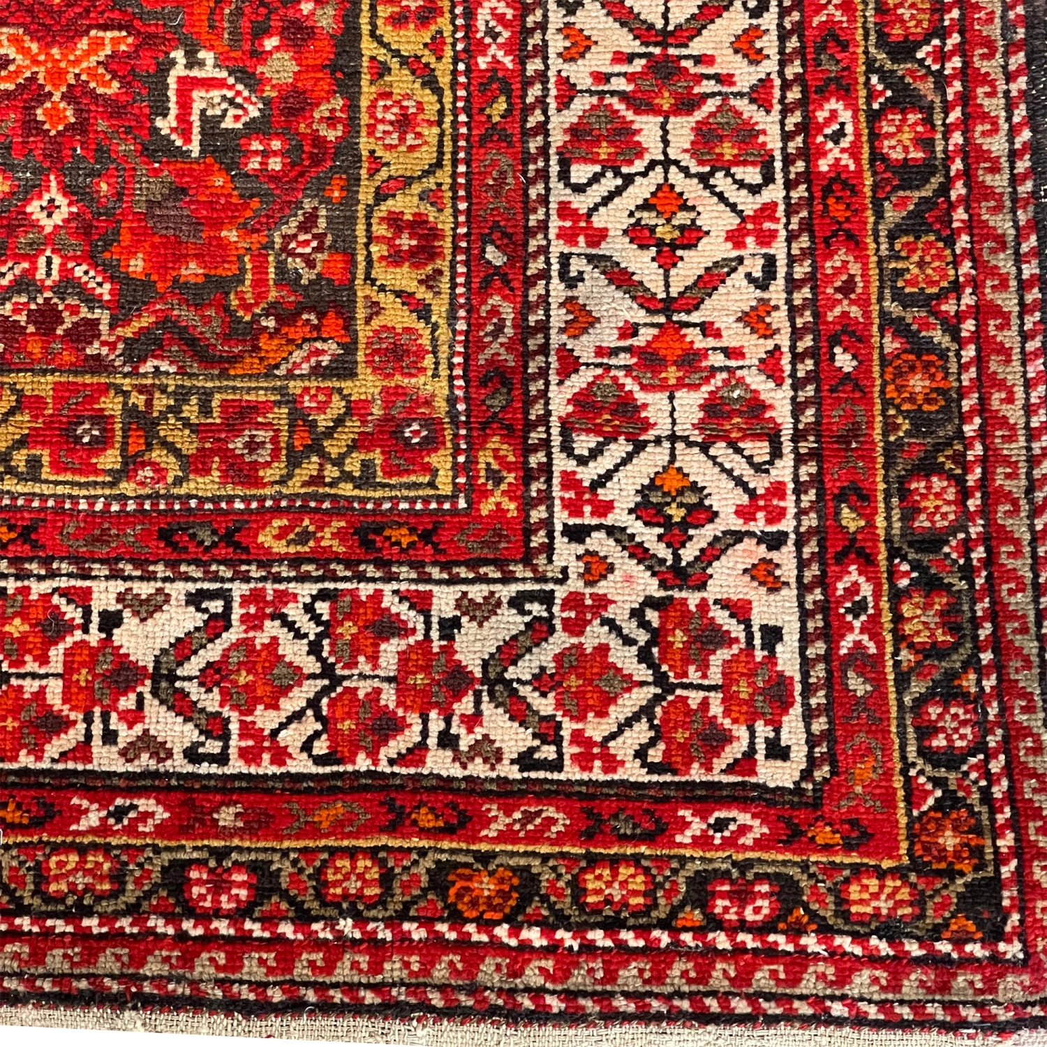 carpet-farshboom-3536069529