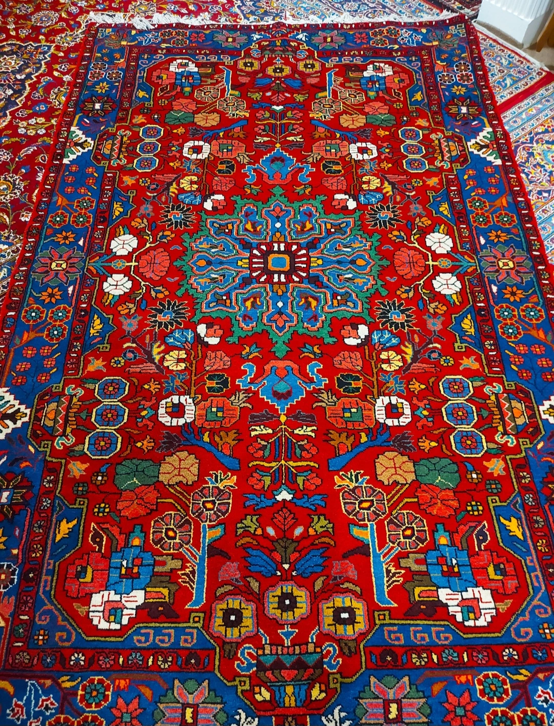 carpet-farshboom-4083694138