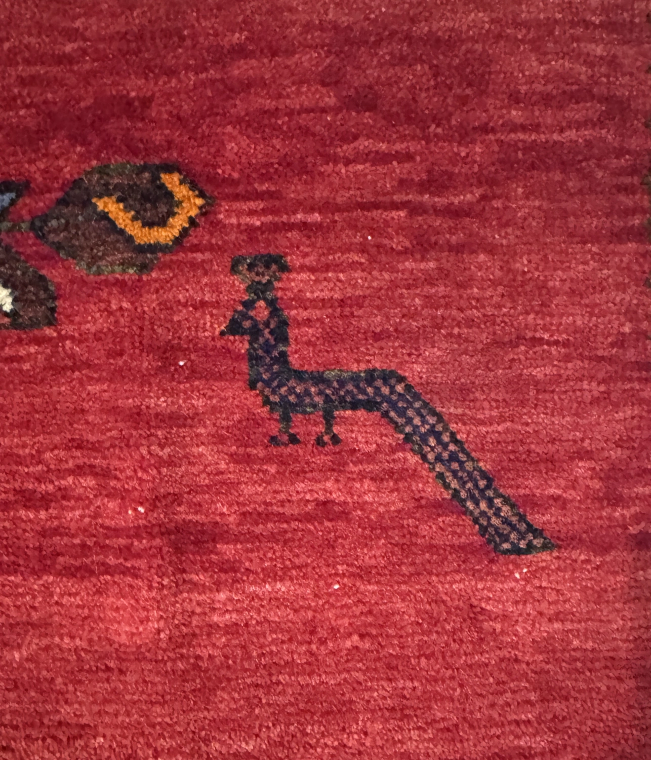 carpet-farshboom-4605924584