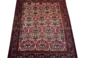 carpet-farshboom-5529350482