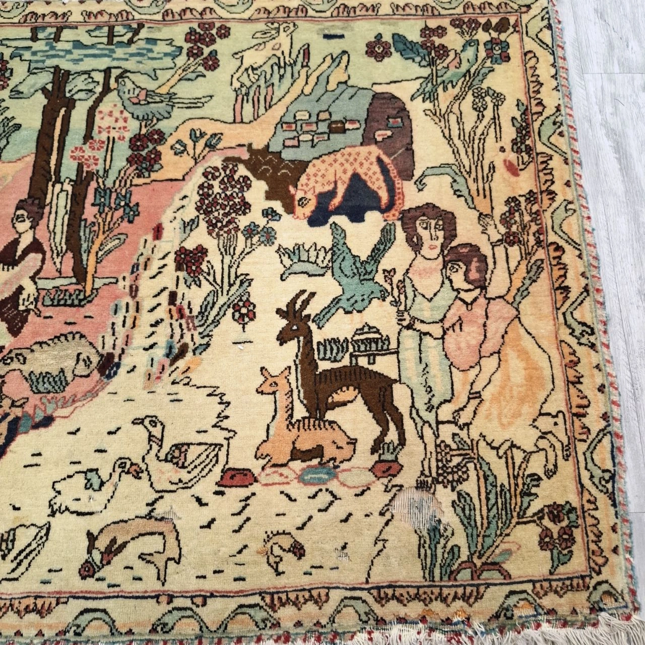 carpet-farshboom-5662333915
