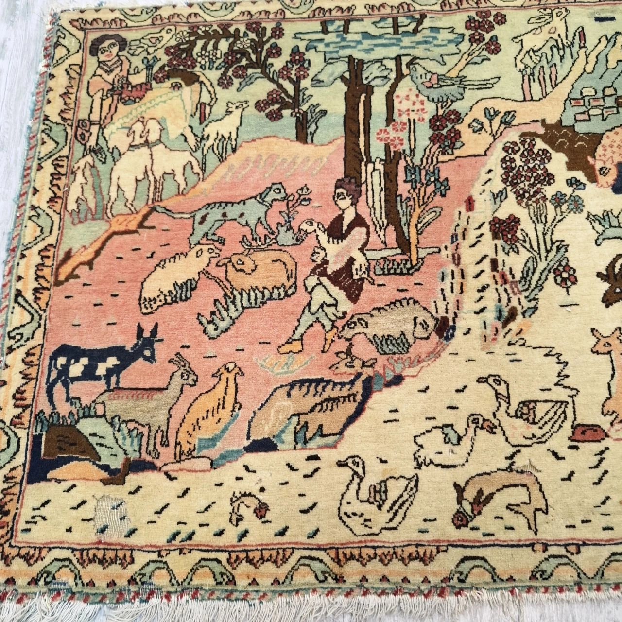 carpet-farshboom-6176305228