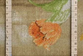 carpet-farshboom-6179541302