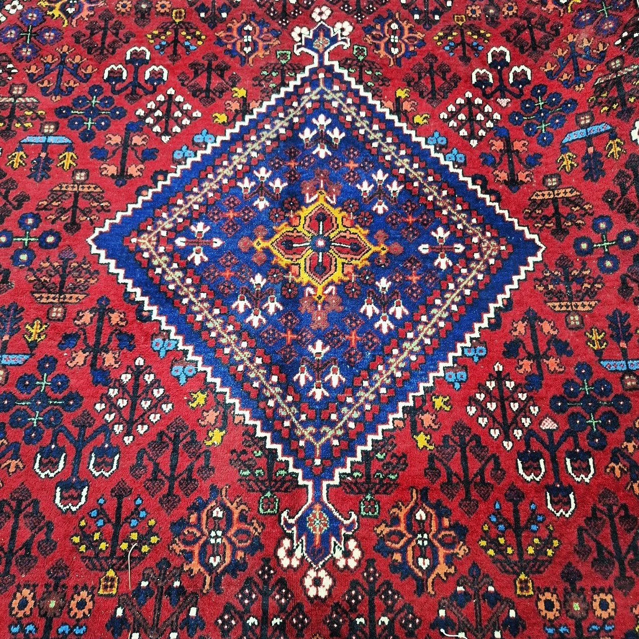 carpet-farshboom-6992173945