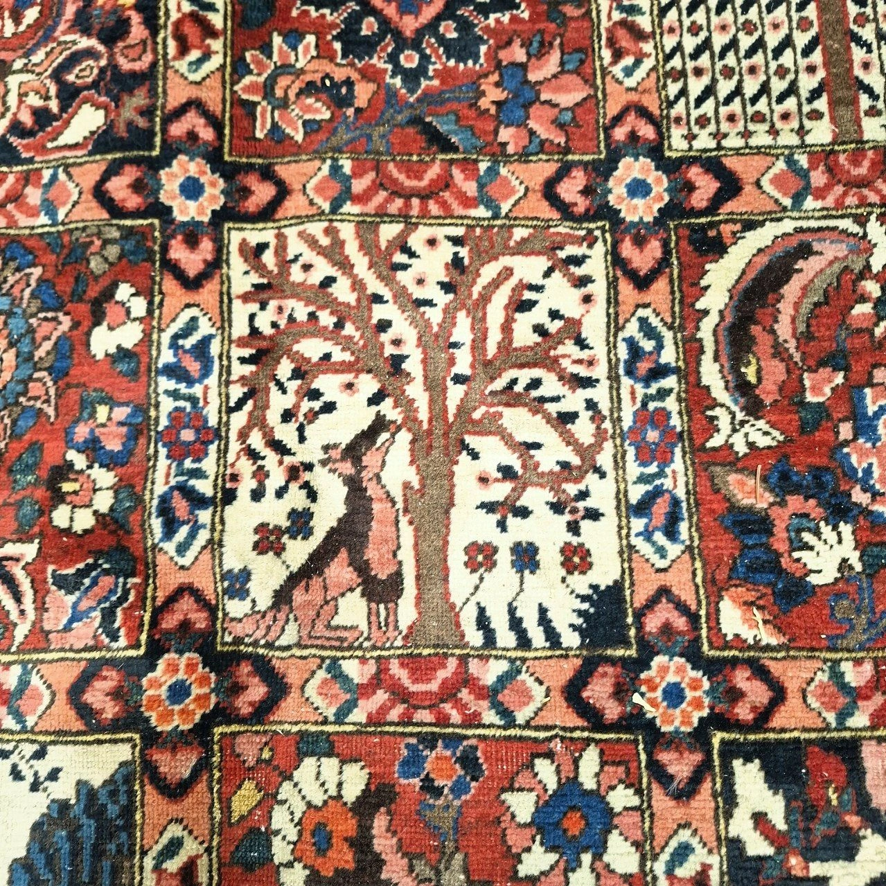 carpet-farshboom-7111968093