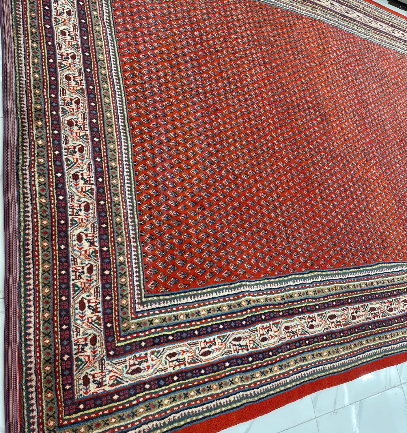 carpet-farshboom-7694564590