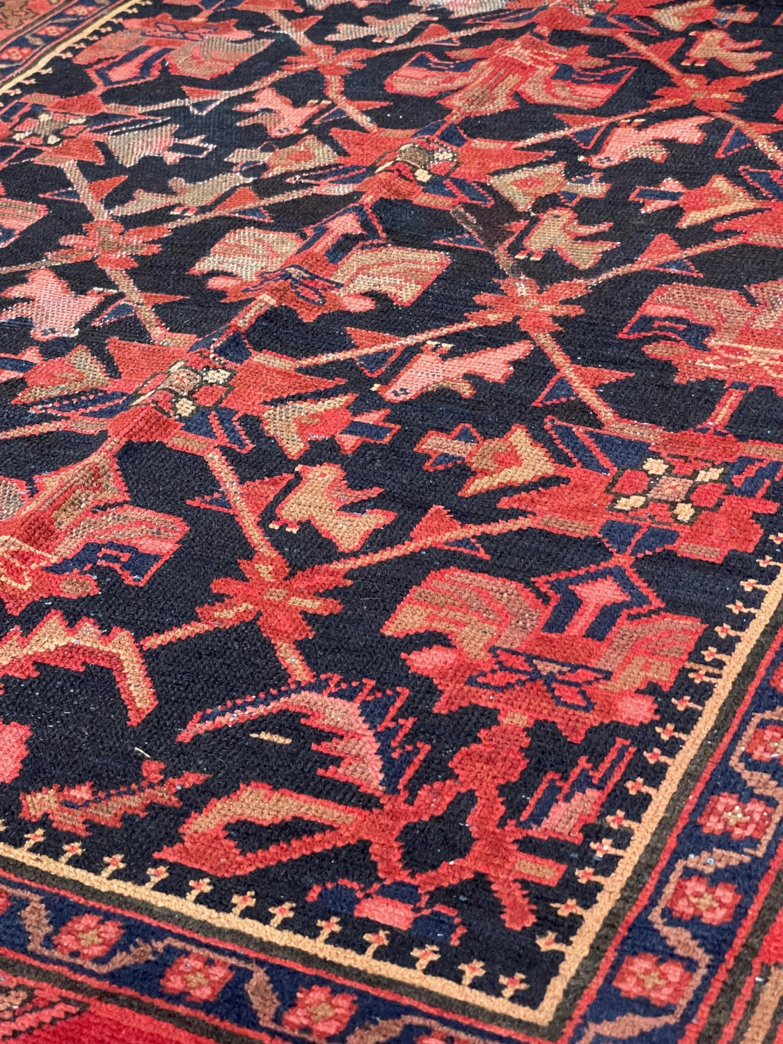 carpet-farshboom-8159316041