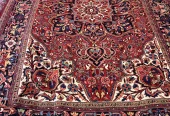 carpet-farshboom-8444483722