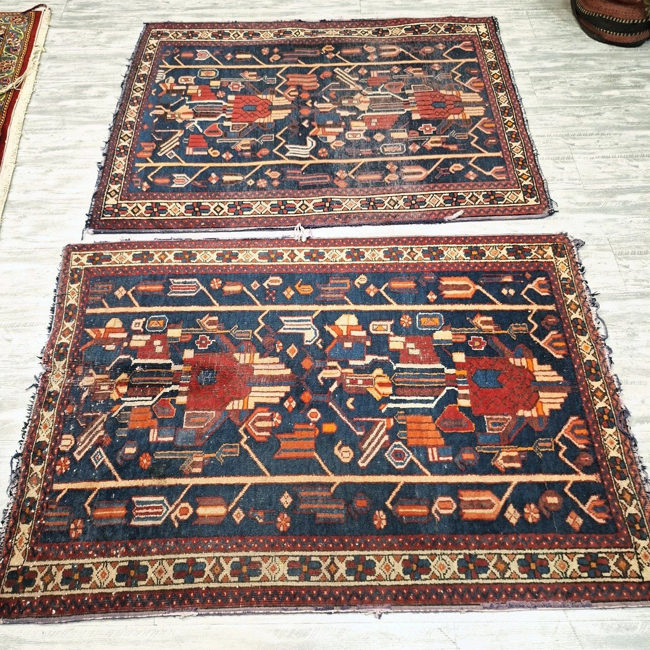 carpet-farshboom-9124908945