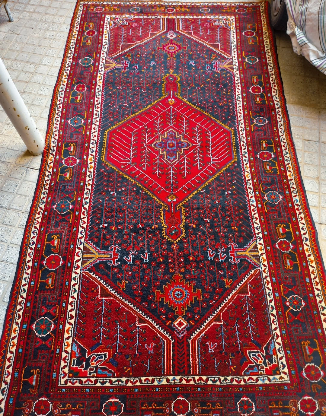 carpet-farshboom-9326876755