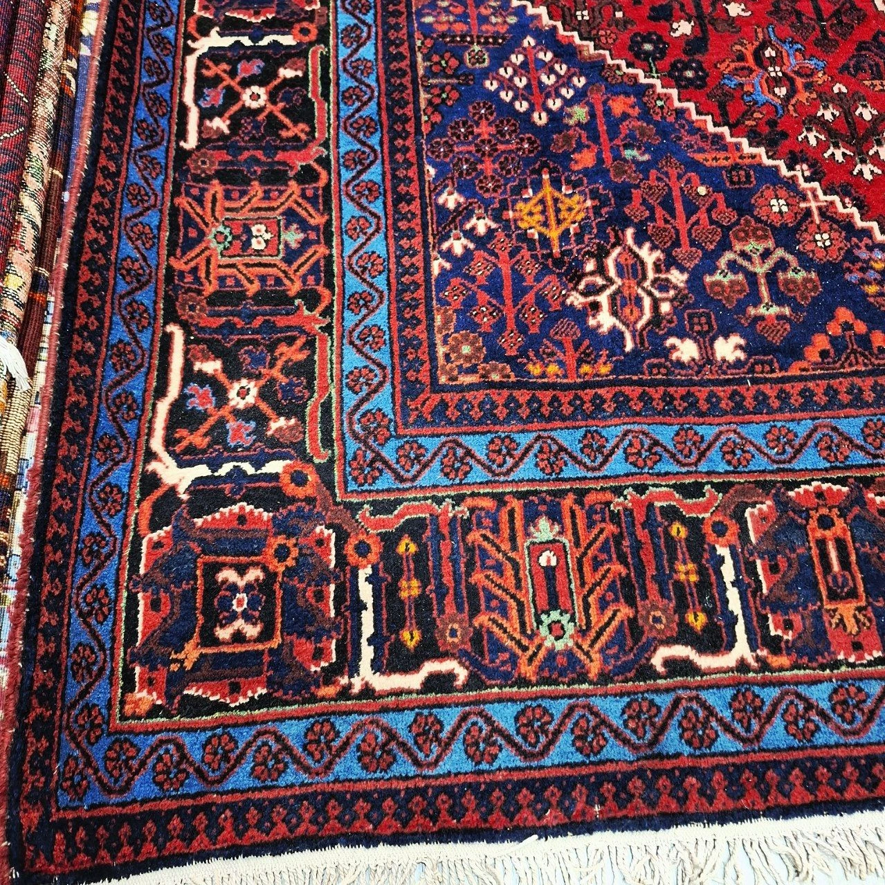 carpet-farshboom-9521130004